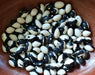 Calypso, Dry Bush Beans, -- BoxGardenSeedsLLC -Beans / Dry Beans - Seeds