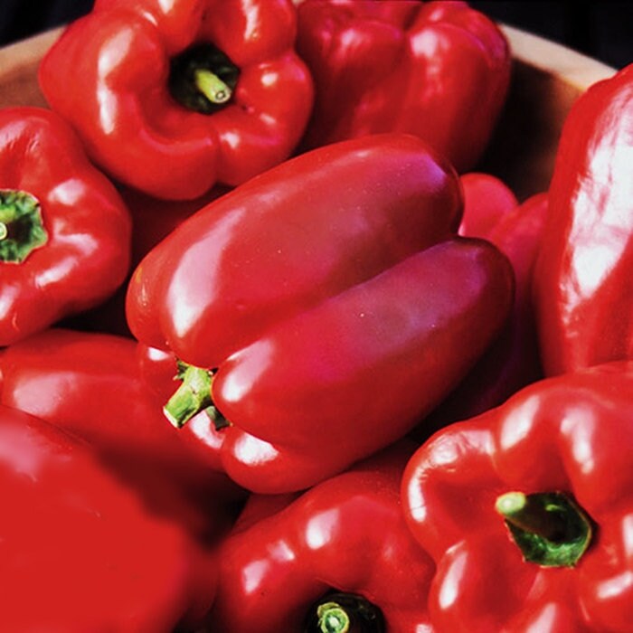 Autumn Bell, Sweet Bell Pepper, -- BoxGardenSeedsLLC -Peppers,Eggplants - Seeds