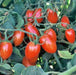 - BoxGardenSeedsLLC - Baby Roma, Tomato, - Tomatoes,Tomatillos - Seeds