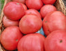 - BoxGardenSeedsLLC - Giant Pink Belgium, Tomato, - Tomatoes,Tomatillos - Seeds