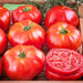 Ace 55, Tomato - BoxGardenSeedsLLC -Tomatoes,Tomatillos - Seeds