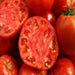 Ace 55, Tomato - BoxGardenSeedsLLC -Tomatoes,Tomatillos - Seeds