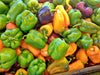 - BoxGardenSeedsLLC - Gourmet Rainbow, Sweet Bell Pepper Mix, - Peppers,Eggplants - Seeds