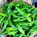 Anaheim, Hot Pepper, - BoxGardenSeedsLLC -Peppers,Eggplants - Seeds