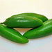 Craig's Grande Jalapeno, Hot Pepper, - BoxGardenSeedsLLC -Peppers,Eggplants - Seeds