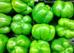 Gourmet Rainbow, Sweet Bell Pepper Mix, -- BoxGardenSeedsLLC -Peppers,Eggplants - Seeds