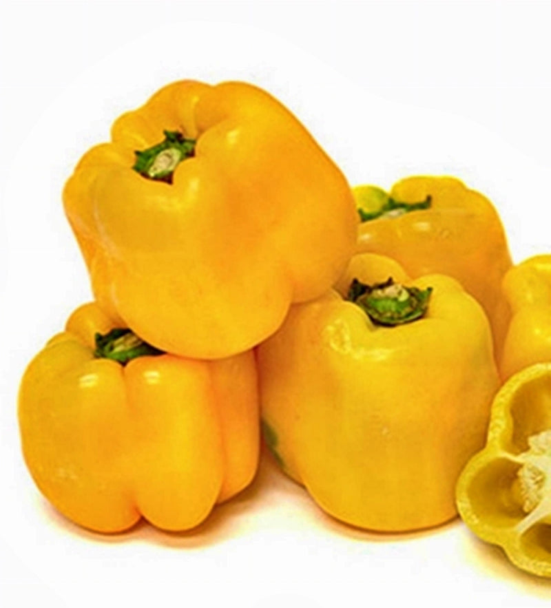 Gourmet Rainbow, Sweet Bell Pepper Mix - BoxGardenSeedsLLC - Peppers,Eggplants - Seeds - USA Seller, Thank you for shopping here today, Naturally Grown GMO Free Seeds, Heirloom Open Pollinated Seeds, Fresh Top Quality Premium Seeds