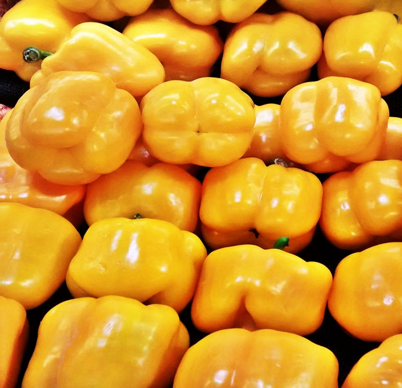 Gourmet Rainbow, Sweet Bell Pepper Mix - BoxGardenSeedsLLC - Peppers,Eggplants - Seeds - USA Seller, Thank you for shopping here today, Naturally Grown GMO Free Seeds, Heirloom Open Pollinated Seeds, Fresh Top Quality Premium Seeds