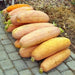 Jumbo Pink Banana, Winter Squash, - BoxGardenSeedsLLC -Squash,Pumpkins - Seeds