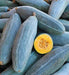 Big Blue Guatemalan, Winter Squash, -- BoxGardenSeedsLLC -Squash,Pumpkins - Seeds