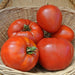 Jory, Tomato, - BoxGardenSeedsLLC -Tomatoes,Tomatillos - Seeds