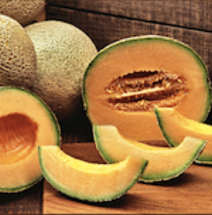 Top Mark, Cantaloupe, - BoxGardenSeedsLLC -Melons, Cantaloupe - Seeds