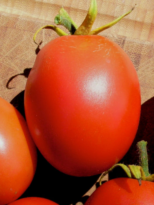 Grahams Good Keeper, Tomato, -- BoxGardenSeedsLLC -Tomatoes,Tomatillos - Seeds