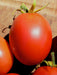 Grahams Good Keeper, Tomato, -- BoxGardenSeedsLLC -Tomatoes,Tomatillos - Seeds