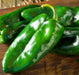 Ancho Grande, Hot Pepper, -- BoxGardenSeedsLLC -Peppers,Eggplants - Seeds