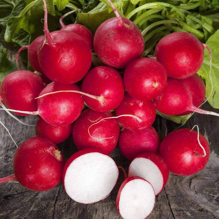 Cherry Belle, Radish, - BoxGardenSeedsLLC -Radishes - Seeds