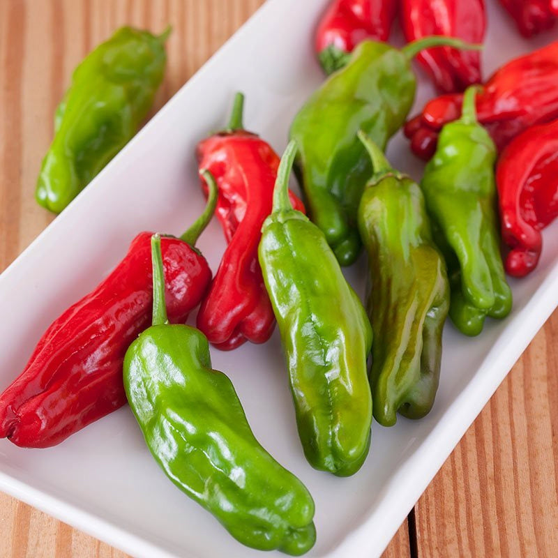 Shishito, Hot Pepper - BoxGardenSeedsLLC - Peppers,Eggplants - Seeds - USA Seller, Thank you for shopping here today, Naturally Grown GMO Free Seeds, Heirloom Open Pollinated Seeds, Fresh Top Quality Premium Seeds