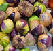 Purple, Tomatillo, -- BoxGardenSeedsLLC -Tomatoes,Tomatillos - Seeds