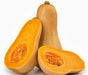 Waltham Butternut Winter Squash -- BoxGardenSeedsLLC -Squash,Pumpkins - Seeds