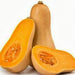 Waltham Butternut, Winter Squash, - BoxGardenSeedsLLC -Squash,Pumpkins - Seeds