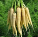 - BoxGardenSeedsLLC - Lunar White, Carrot, - Carrots - Seeds