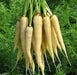 Lunar White, Carrot, -- BoxGardenSeedsLLC -Carrots - Seeds