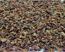 Kuroda Long 8, Carrot - BoxGardenSeedsLLC - Carrots - Seeds - USA Seller, Thank you for shopping here today, Naturally Grown GMO Free Seeds, Heirloom Open Pollinated Seeds, Fresh Top Quality Premium Seeds