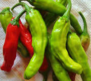 Shishito, Hot Pepper - BoxGardenSeedsLLC - Peppers,Eggplants - Seeds - USA Seller, Thank you for shopping here today, Naturally Grown GMO Free Seeds, Heirloom Open Pollinated Seeds, Fresh Top Quality Premium Seeds