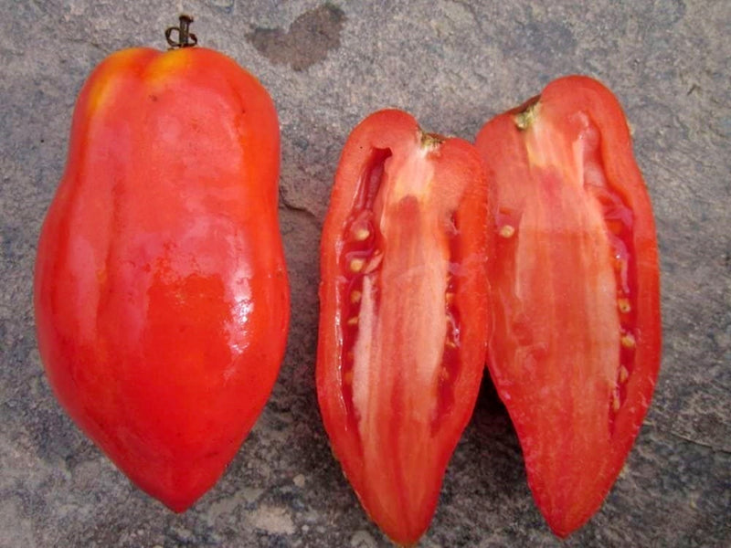 Polish Paste - Heirloom Seeds - Garden Seed Non-GMO - 30+ Seeds Grown To Organic Standards Open Pollinated Gardening - BoxGardenSeedsLLC -Tomatoes,Tomatillos - Seeds