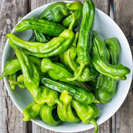 Italian Pepperoncini, Sweet Pepper - BoxGardenSeedsLLC -Peppers,Eggplants - Seeds