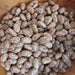 Pinto, Dry Bush Beans, - BoxGardenSeedsLLC -Abundant Stock SALE - Seeds