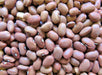 - BoxGardenSeedsLLC - Red Swan Bush Beans, - Beans / Dry Beans - Seeds