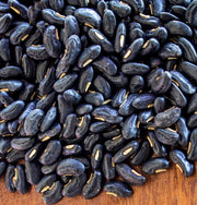 Black Valentine, Dry Bush Beans - BoxGardenSeedsLLC - Beans / Dry Beans - Seeds - USA Seller, Thank you for shopping here today, Naturally Grown GMO Free Seeds, Heirloom Open Pollinated Seeds, Fresh Top Quality Premium Seeds