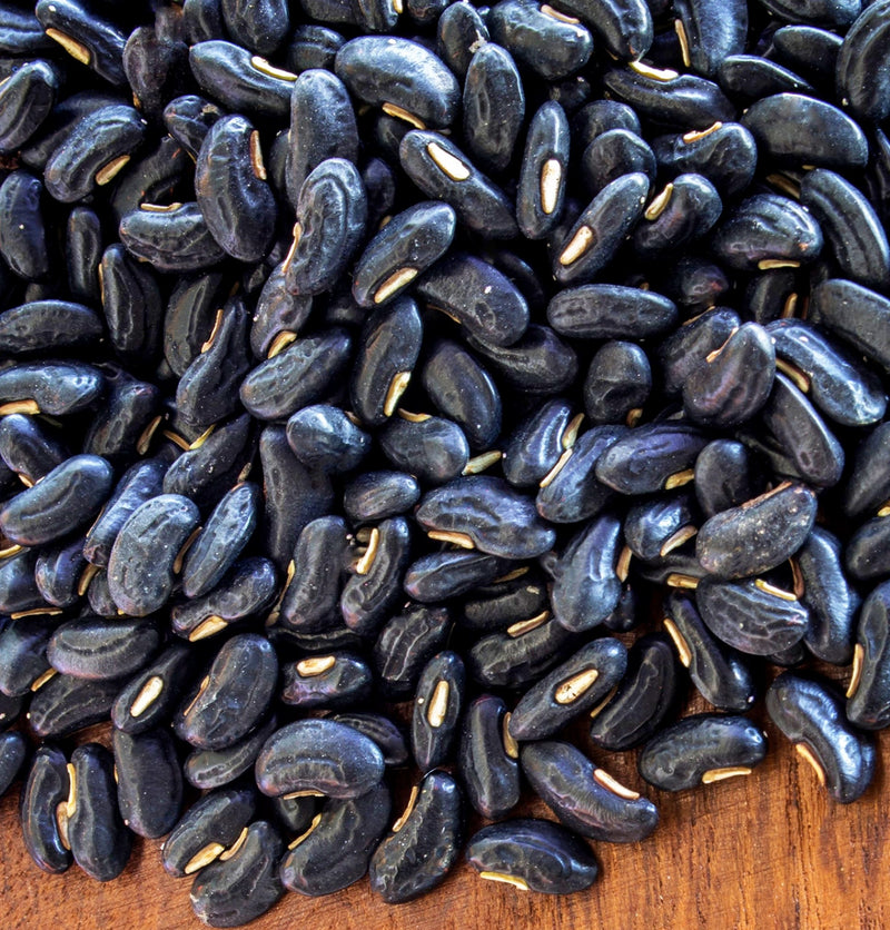 Black Valentine, Dry Bush Beans - BoxGardenSeedsLLC - Beans / Dry Beans - Seeds - USA Seller, Thank you for shopping here today, Naturally Grown GMO Free Seeds, Heirloom Open Pollinated Seeds, Fresh Top Quality Premium Seeds