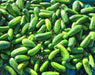 Homemade Pickles, Cucumber, -- BoxGardenSeedsLLC -Cucumbers - Seeds