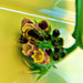 Hummingbird and Butterfly, Wildflower Mix - BoxGardenSeedsLLC - Wildflowers/Flowers - Seeds - USA Seller, Thank you for shopping here today, Naturally Grown GMO Free Seeds, Heirloom Open Pollinated Seeds, Fresh Top Quality Premium Seeds