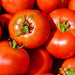 - BoxGardenSeedsLLC - Cal Ace, Tomato, - Tomatoes,Tomatillos - Seeds