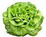 - BoxGardenSeedsLLC - Way-A-Head, Lettuce, - ABS/Clearance Sale - Seeds