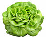 Way-A-Head, Lettuce, -- BoxGardenSeedsLLC -Lettuce - Seeds