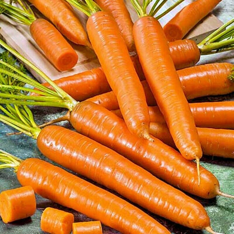 Amsterdam, Carrot - BoxGardenSeedsLLC - Carrots - Seeds - USA Seller, Thank you for shopping here today, Naturally Grown GMO Free Seeds, Heirloom Open Pollinated Seeds, Fresh Top Quality Premium Seeds
