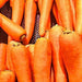 Autumn King, Carrots, - BoxGardenSeedsLLC -Carrots - Seeds