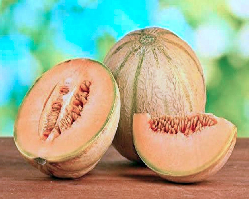 Golden Delicious, Cantaloupe, -- BoxGardenSeedsLLC -Melons, Cantaloupe - Seeds