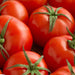 Caribe, Tomato, - BoxGardenSeedsLLC -Tomatoes,Tomatillos - Seeds