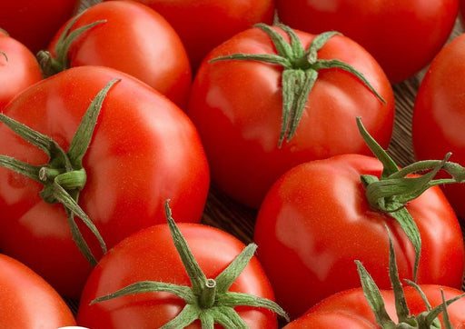 - BoxGardenSeedsLLC - Campbell 33, Tomato, - Tomatoes,Tomatillos - Seeds