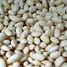 Navy, Dry Shell Beans, - BoxGardenSeedsLLC -Abundant Stock SALE - Seeds