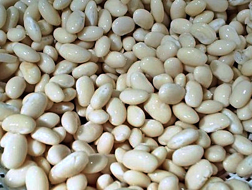 - BoxGardenSeedsLLC - Navy Dry Shell Beans, - Beans / Dry Beans - Seeds