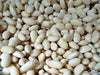 Navy, Dry Shell Beans, -- BoxGardenSeedsLLC -Beans / Dry Beans - Seeds