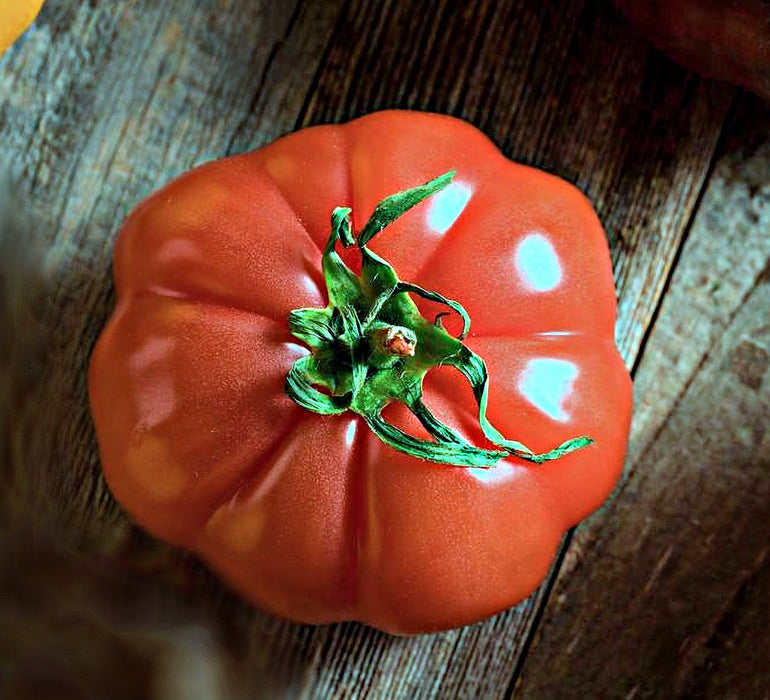 - BoxGardenSeedsLLC - Floradel, Tomato, - Tomatoes,Tomatillos - Seeds