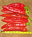 - BoxGardenSeedsLLC - Hatch Big Jim Legacy Chile, Hot Pepper, - - Seeds