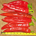 Big Jim Legacy Hatch Chile, Hot Pepper, - BoxGardenSeedsLLC -Abundant Stock SALE - Seeds